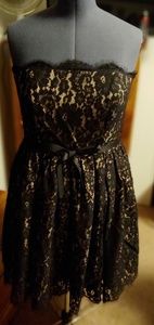 Lace black and nude dress
